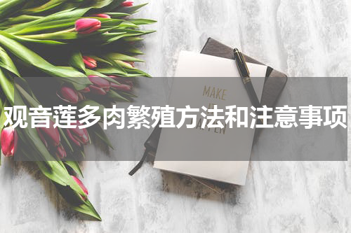 观音莲多肉繁殖方法和注意事项