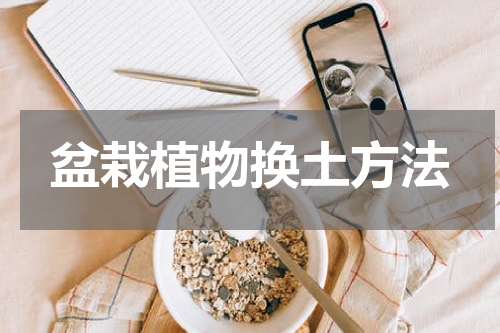 盆栽植物换土方法