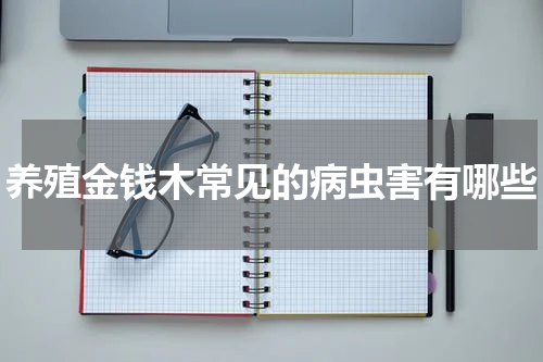 养殖金钱木常见的病虫害有哪些