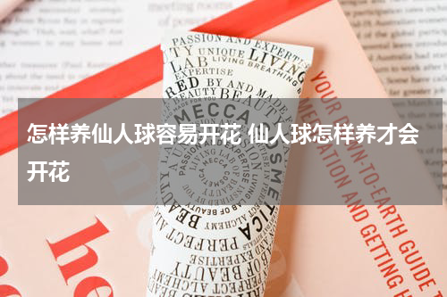 怎样养仙人球容易开花 仙人球怎样养才会开花