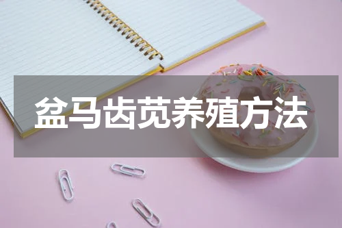盆马齿苋养殖方法