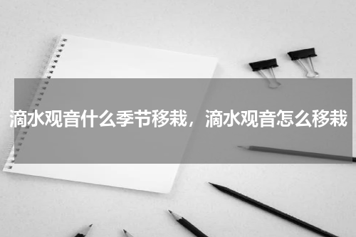 滴水观音什么季节移栽，滴水观音怎么移栽