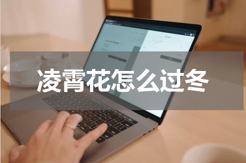 凌霄花怎么过冬