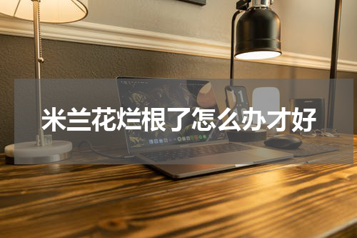 米兰花烂根了怎么办才好