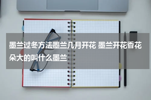 墨兰过冬方法墨兰几月开花 墨兰开花香花朵大的叫什么墨兰
