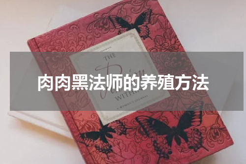 肉肉黑法师的养殖方法