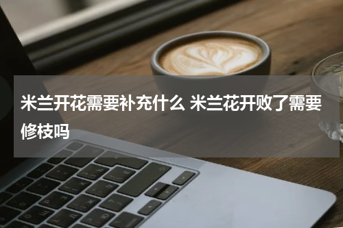 米兰开花需要补充什么 米兰花开败了需要修枝吗