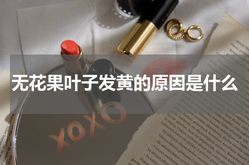 无花果叶子发黄的原因是什么