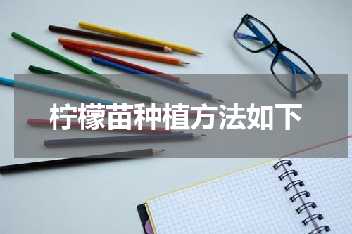 柠檬苗种植方法如下