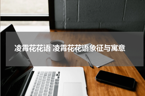 凌霄花花语 凌霄花花语象征与寓意