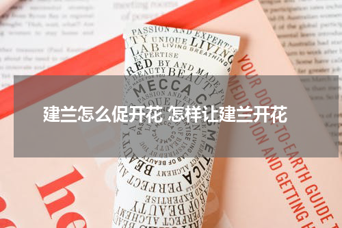 建兰怎么促开花 怎样让建兰开花