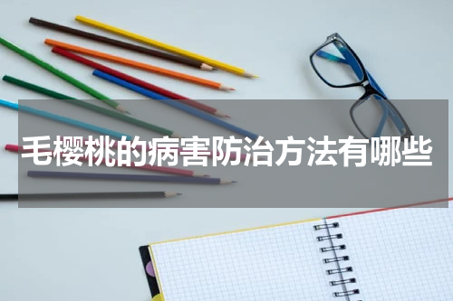 毛樱桃的病害防治方法有哪些