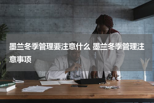 墨兰冬季管理要注意什么 墨兰冬季管理注意事项
