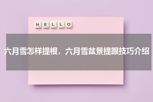 六月雪怎样提根，六月雪盆景提跟技巧介绍