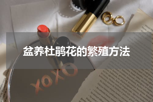 盆养杜鹃花的繁殖方法