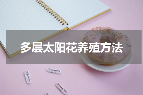 多层太阳花养殖方法