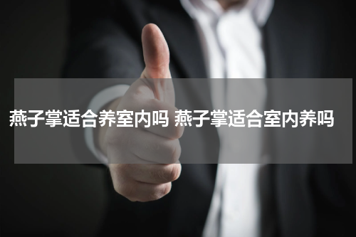 燕子掌适合养室内吗 燕子掌适合室内养吗