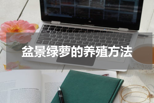 盆景绿萝的养殖方法