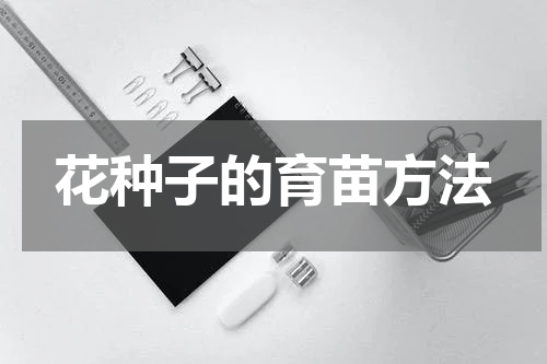 花种子的育苗方法