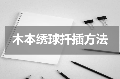 木本绣球扦插方法