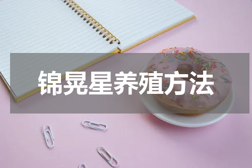 锦晃星养殖方法