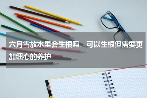 六月雪放水里会生根吗，可以生根但需要更加细心的养护