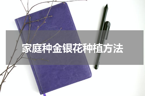 家庭种金银花种植方法