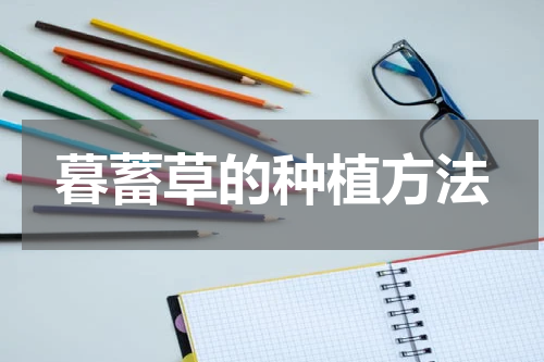 暮蓄草的种植方法