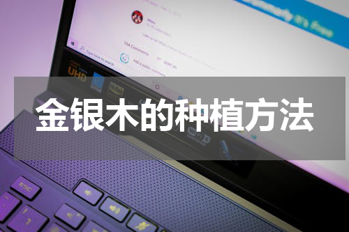 金银木的种植方法
