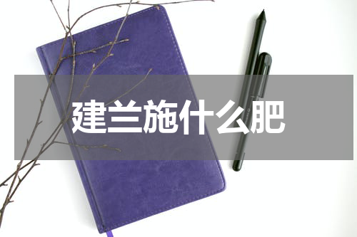 建兰施什么肥