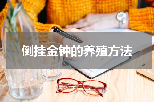 倒挂金钟的养殖方法