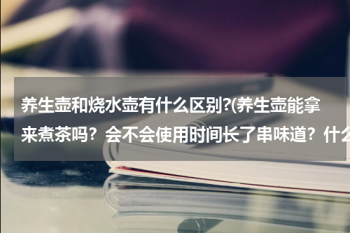 养生壶和烧水壶有什么区别?(养生壶能拿来煮茶吗？会不会使用时间长了串味道？什么牌子比较好？)