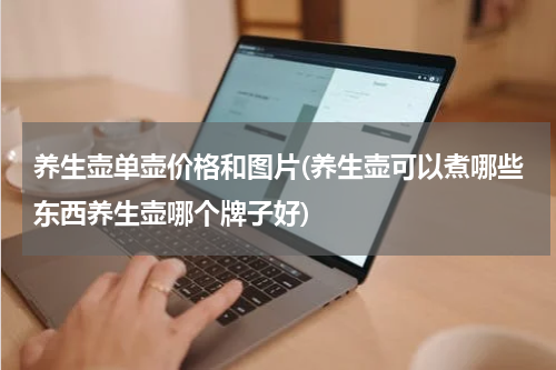 养生壶单壶价格和图片(养生壶可以煮哪些东西养生壶哪个牌子好)
