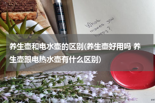 养生壶和电水壶的区别(养生壶好用吗 养生壶跟电热水壶有什么区别)