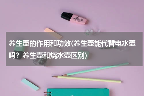 养生壶的作用和功效(养生壶能代替电水壶吗？养生壶和烧水壶区别)