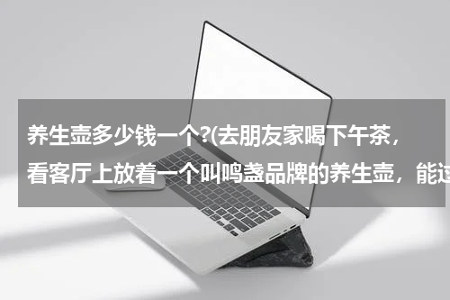 养生壶多少钱一个?(去朋友家喝下午茶，看客厅上放着一个叫鸣盏品牌的养生壶，能过滤茶渣，很方便，不知道质量怎么样？)