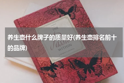 养生壶什么牌子的质量好(养生壶排名前十的品牌)