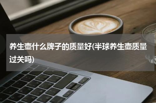 养生壶什么牌子的质量好(半球养生壶质量过关吗)