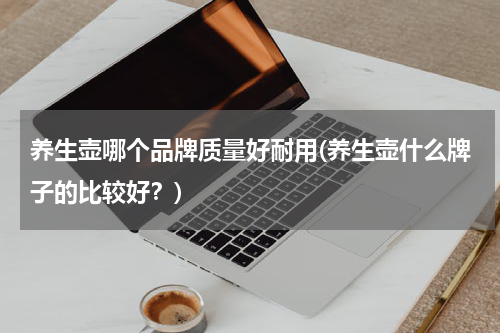 养生壶哪个品牌质量好耐用(养生壶什么牌子的比较好？)