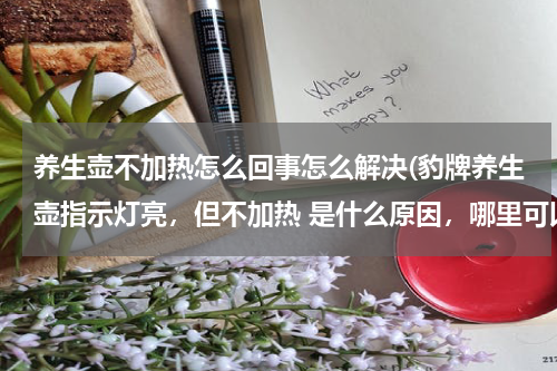养生壶不加热怎么回事怎么解决(豹牌养生壶指示灯亮，但不加热 是什么原因，哪里可以修？)