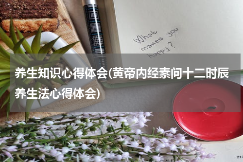 养生知识心得体会(黄帝内经素问十二时辰养生法心得体会)