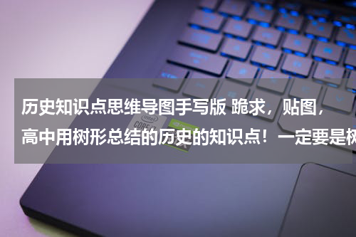 历史知识点思维导图手写版 跪求，贴图，高中用树形总结的历史的知识点！一定要是树形的