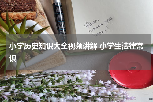 小学历史知识大全视频讲解 小学生法律常识