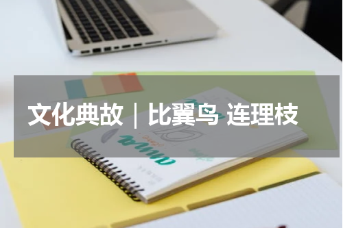 文化典故｜比翼鸟 连理枝