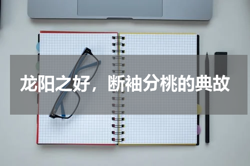龙阳之好，断袖分桃的典故