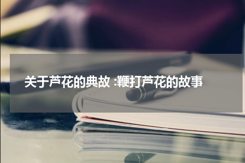 关于芦花的典故 :鞭打芦花的故事